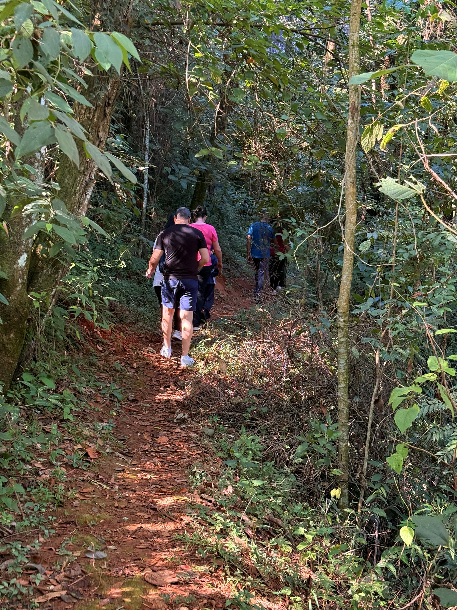 Caminhada guiada pela mata da propriedade