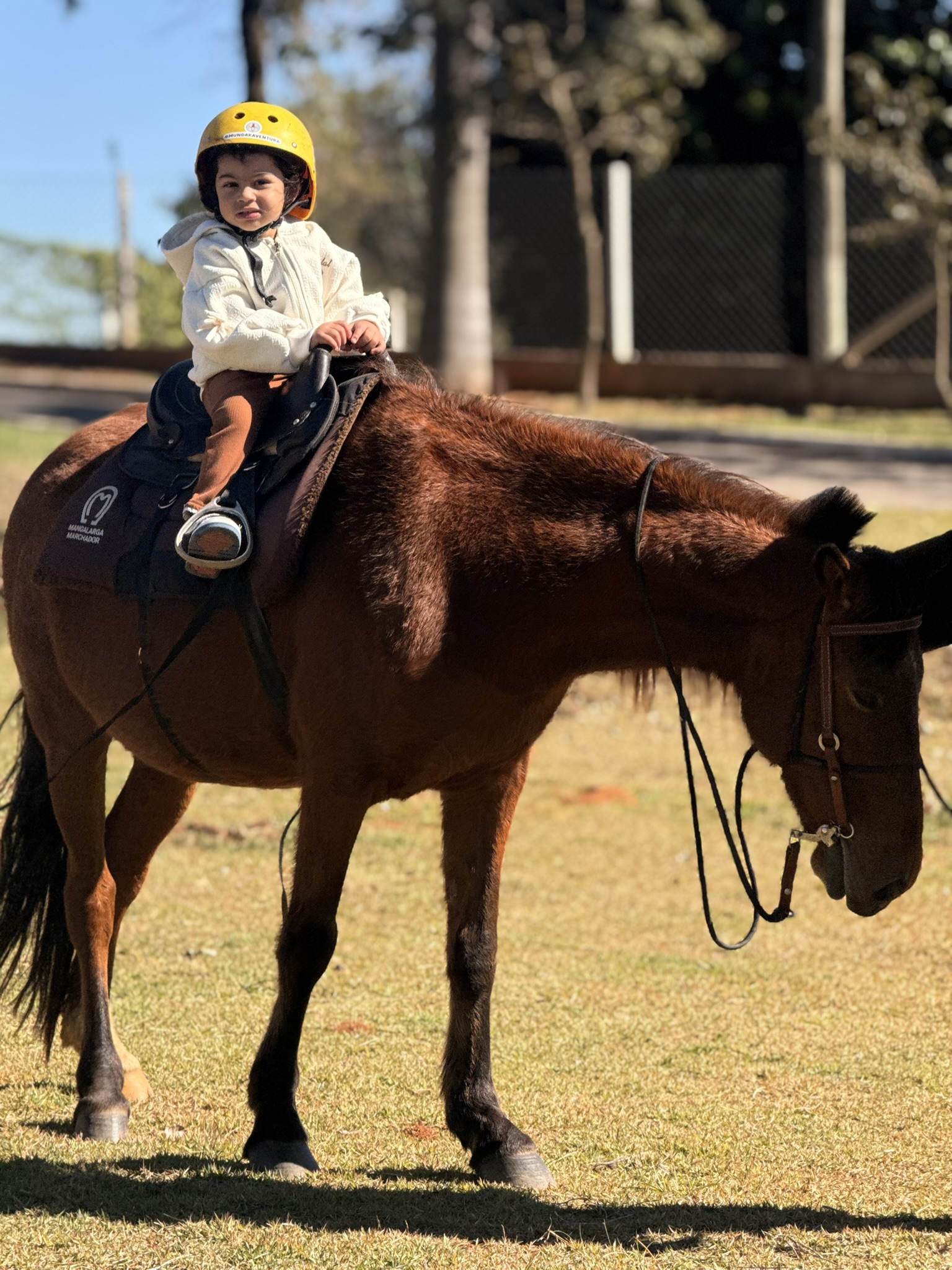 Criança na primeira volta a cavalo